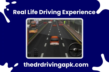 Real Life Driving Experience